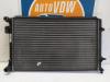 Volkswagen Caddy III (2KA,2KH,2CA,2CH) 2.0 SDI Radiator