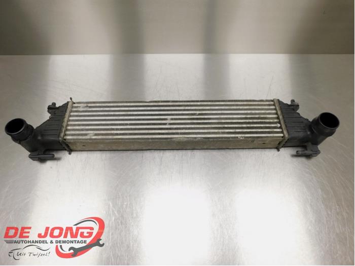 Usados Intercooler Fiat 500L Precio € 39,90 Norma de margen ofrecido por Autodemontagebedrijf de Jong