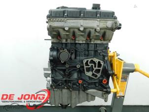 Revisado Motor Audi A4 Avant (B7) 2.0 TDI Precio € 1.996,50 IVA incluido ofrecido por Autodemontagebedrijf de Jong