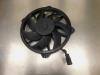 Cooling fans from a Peugeot Partner (GC/GF/GG/GJ/GK), 2008 / 2018 1.6 HDI 90, Delivery, Diesel, 1.560cc, 66kW (90pk), FWD, DV6DTED; 9HF, 2013-03 / 2016-08 2014