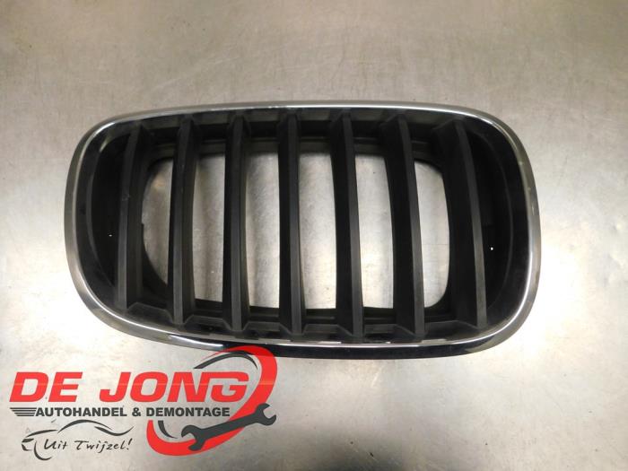 Używane Grill BMW X5 (E70) xDrive 35d 3.0 24V Cena € 24,99 Procedura marży oferowane przez Autodemontagebedrijf de Jong