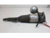Volkswagen Phaeton (3D) 6.0 W12 48V 4Motion Stoßdämpferstrebe links hinten