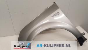 Used Front wing, left Renault Scénic II (JM) 2.0 16V Price € 45,00 Margin scheme offered by Autorecycling Kuijpers