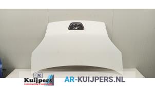 Usagé Capot Peugeot Bipper (AA) 1.4 HDi Prix € 95,00 Règlement à la marge proposé par Autorecycling Kuijpers