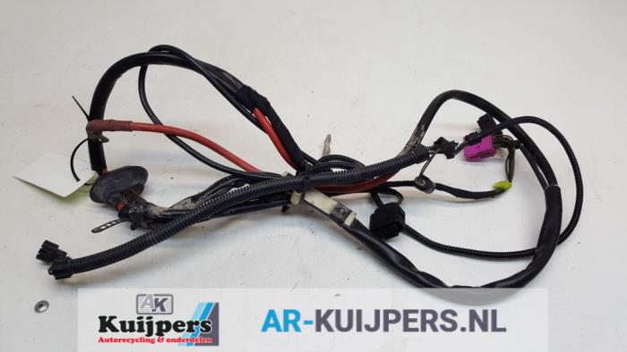 Gebrauchte Kabelbaum Audi RS 6 (C5) RS6 4.2 V8 40V Biturbo Preis € 40,00 Margenregelung angeboten von Autorecycling Kuijpers