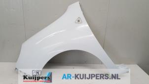 Used Front wing, left Renault Kangoo Express (FW) 1.5 dCi 75 Price € 40,00 Margin scheme offered by Autorecycling Kuijpers