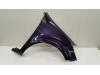 Front wing, right from a Renault Clio III (BR/CR) 1.4 16V 2007