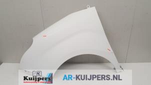 Used Front wing, left Fiat Doblo Cargo (263) 1.3 MJ 16V Euro 4 Price € 65,00 Margin scheme offered by Autorecycling Kuijpers