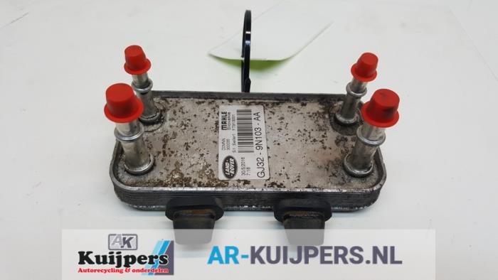 Usagé Refroidisseur de carburant Landrover Discovery Sport (LC) 2.0 eD4 150 16V Prix € 30,00 Règlement à la marge proposé par Autorecycling Kuijpers