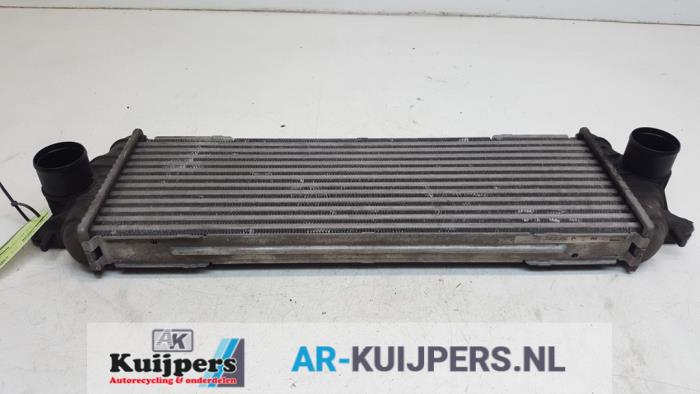 Usados Intercooler Opel Vivaro 1.9 DTI 16V Precio € 19,00 Norma de margen ofrecido por Autorecycling Kuijpers