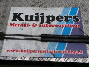 Used Set of tailgate gas struts Opel Signum (F48) 3.0 CDTI V6 24V Price € 10,00 Margin scheme offered by Autorecycling Kuijpers