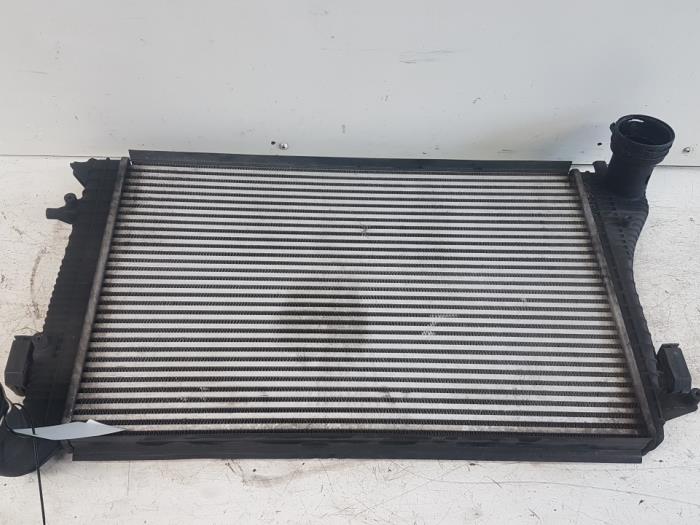 Usagé Radiateur Volkswagen Caddy III (2KA,2KH,2CA,2CH) 1.9 TDI Prix € 50,00 Règlement à la marge proposé par Autodemontagebedrijf Smit