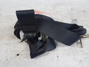 Used Front seatbelt, right Ford Focus 2 1.4 16V Price € 25,00 Margin scheme offered by Autodemontagebedrijf Smit