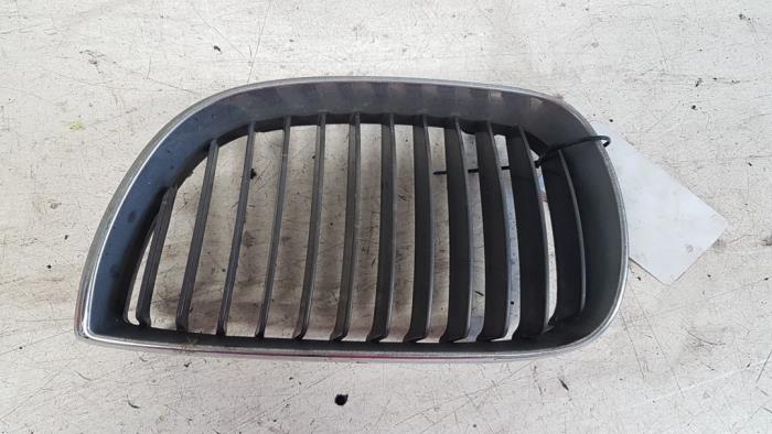 Usagé Calandre BMW 1 serie (E87/87N) 118d 16V Prix € 10,00 Règlement à la marge proposé par Autodemontagebedrijf Smit