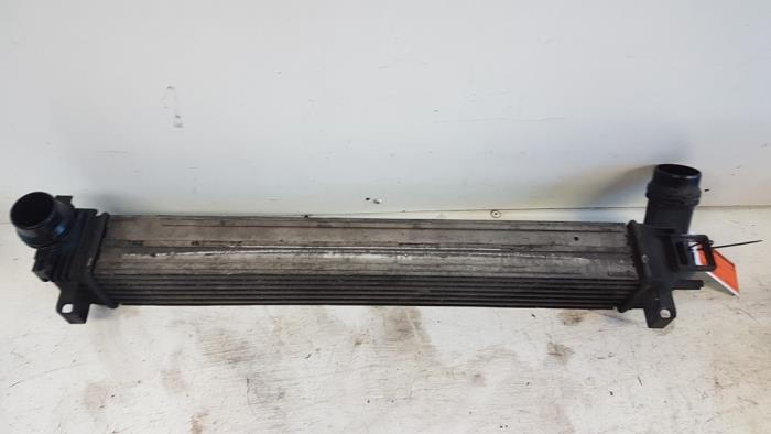 Usagé Intercooler Renault Megane III Grandtour (KZ) 1.5 dCi 110 Prix € 30,00 Règlement à la marge proposé par Autodemontagebedrijf Smit