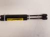 Set of tailgate gas struts from a Audi A6 (C5), 1997 / 2005 2.4 V6 30V, Saloon, 4-dr, Petrol, 2.393cc, 121kW (165pk), FWD, AGA, 1997-04 / 1999-01, 4B2 1997