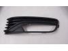Bumper grille from a Volkswagen Polo VI (AW1), Hatchback/5 doors, 2017 2017