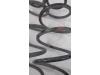 Rear coil spring from a Opel Corsa F (UB/UH/UP) 1.2 Turbo 12V 100 2021