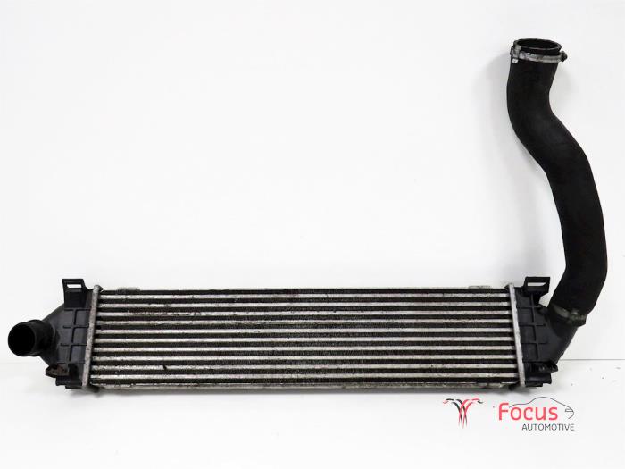 Usados Intercooler Ford Focus 2 1.6 TDCi 16V 90 Precio € 40,00 Norma de margen ofrecido por Focus Automotive