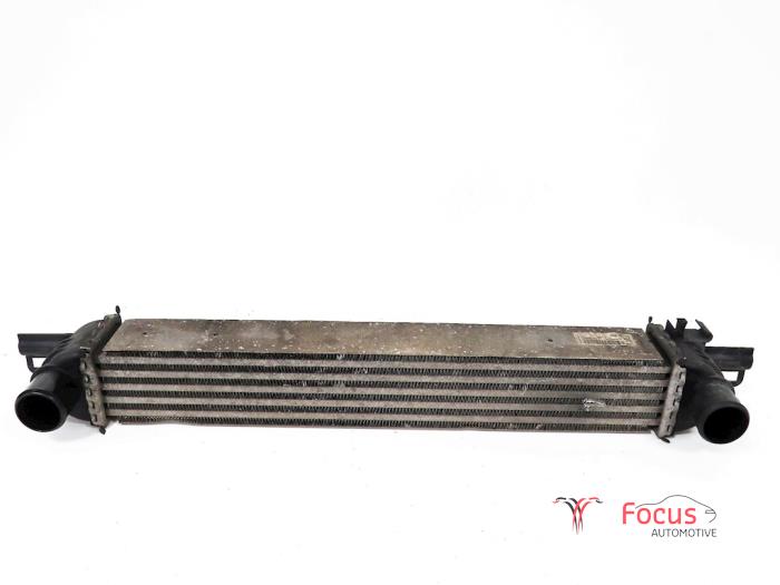 Used Intercooler Citroen Nemo (AA) 1.3 HDi 75 Price € 30,00 Margin scheme offered by Focus Automotive