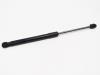 Rear gas strut, left from a BMW 3 serie (F30) 316d 2.0 16V 2014