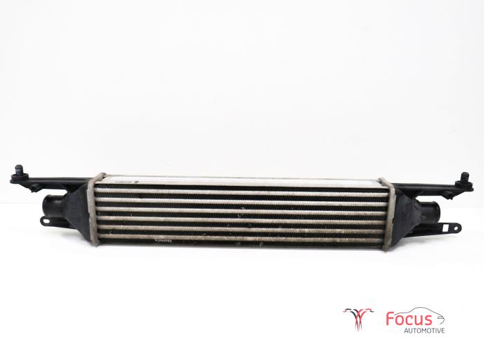 Usados Intercooler Fiat Punto III (199) 1.3 JTD Multijet 16V Precio € 35,00 Norma de margen ofrecido por Focus Automotive