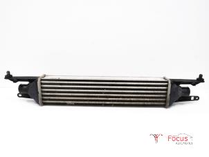 Gebrauchte Ladeluftkühler Fiat Punto III (199) 1.3 JTD Multijet 16V Preis € 35,00 Margenregelung angeboten von Focus Automotive