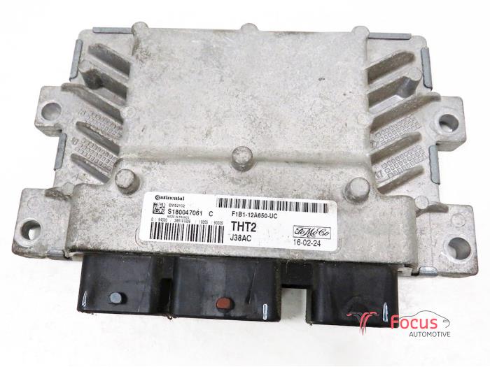 Used Engine management computer Ford Fiesta 6 (JA8) 1.25 16V Price € 80,00 Margin scheme offered by Focus Automotive