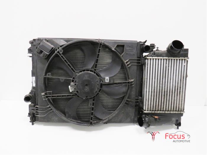Cooling set from a Renault Megane IV (RFBB) 1.5 Energy dCi 110 2017