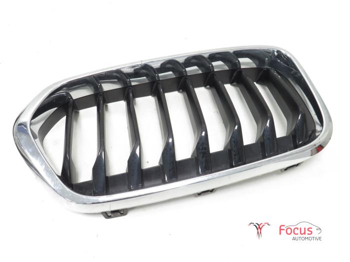 Używane Grill BMW X2 (F39) sDrive 18d 2.0 16V Cena € 20,00 Procedura marży oferowane przez Focus Automotive