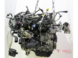 Usagé Moteur Opel Corsa D 1.3 CDTi 16V Ecotec Prix € 750,00 Règlement à la marge proposé par Focus Automotive