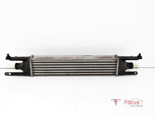 Used Intercooler Fiat Grande Punto (199) 1.3 JTD Multijet 16V Price € 35,00 Margin scheme offered by Focus Automotive