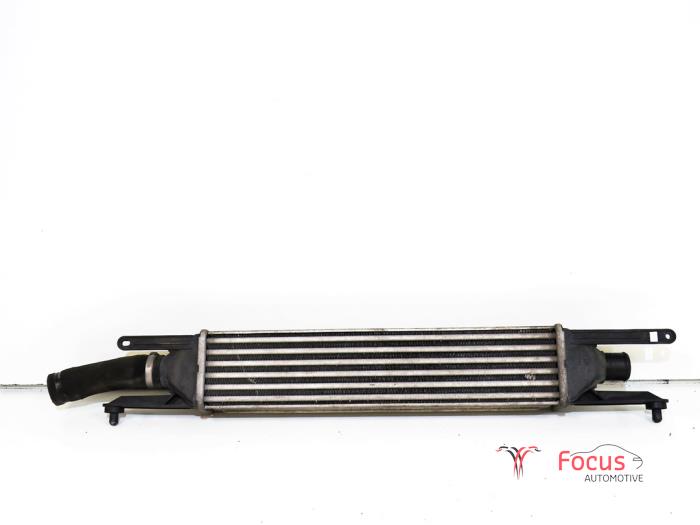 Intercoolers with engine code 199B2 stock