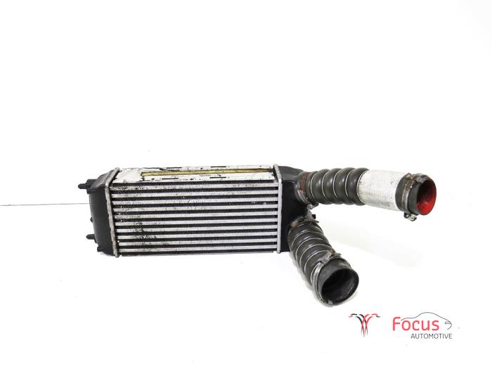 Usados Intercooler Ford Fiesta 6 (JA8) 1.6 TDCi 16V Precio € 30,00 Norma de margen ofrecido por Focus Automotive