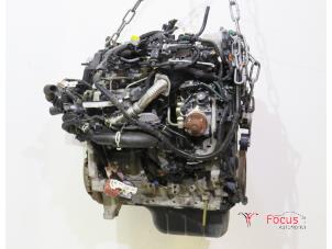 Używane Silnik Citroen C3 (SC) 1.4 HDi Cena € 475,00 Procedura marży oferowane przez Focus Automotive