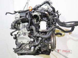 Usados Motor Volkswagen Polo V (6R) 1.6 TDI 16V 90 Precio € 1.095,00 Norma de margen ofrecido por Focus Automotive