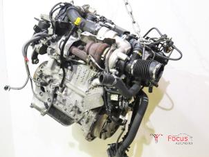 Gebrauchte Motor Ford Fiesta 6 (JA8) 1.4 TDCi Preis € 950,00 Margenregelung angeboten von Focus Automotive