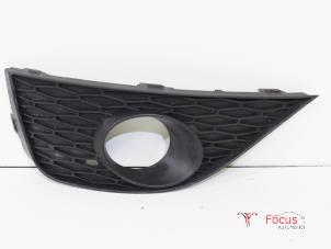 Używane Pokrywa swiatla przeciwmgielnego lewa Seat Ibiza IV (6J5) 1.2 TDI Ecomotive Cena € 10,00 Procedura marży oferowane przez Focus Automotive
