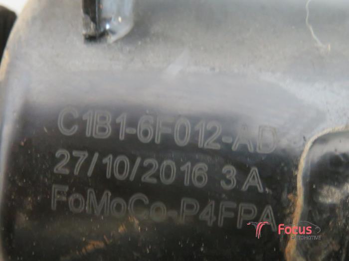 Engine mount Ford Fiesta 6 1.0 SCI 12V 80 - C1B16F012AD P4JD