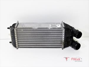 Gebrauchte Ladeluftkühler Citroen C3 Aircross (2C/2R) 1.2 e-THP PureTech 110 Preis € 100,00 Margenregelung angeboten von Focus Automotive