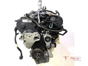 Używane Silnik Audi A3 Sportback (8PA) 2.0 FSI 16V Cena € 1.150,00 Procedura marży oferowane przez Focus Automotive