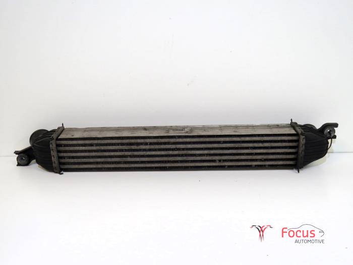 Usados Intercooler Mini Countryman (R60) 1.6 16V One Precio € 29,95 Norma de margen ofrecido por Focus Automotive