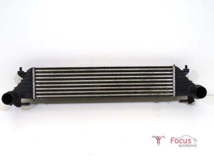 Usagé Intercooler Fiat Tipo (356H/357H) 1.3 D Multijet II 16V Prix € 34,95 Règlement à la marge proposé par Focus Automotive