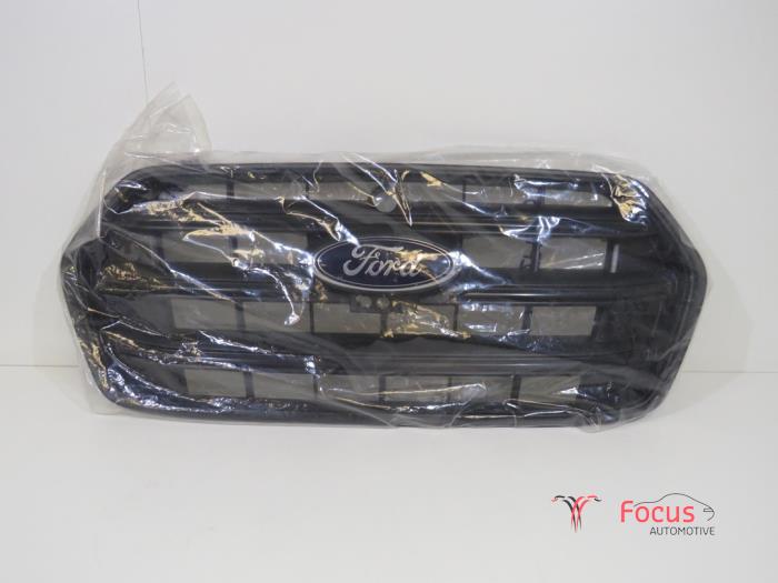 Używane Grill Ford Transit Cena € 150,00 Procedura marży oferowane przez Focus Automotive