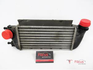 Usagé Echangeur air (Intercooler) Ford Ka II 1.3 TDCi 16V Prix € 40,00 Règlement à la marge proposé par Focus Automotive