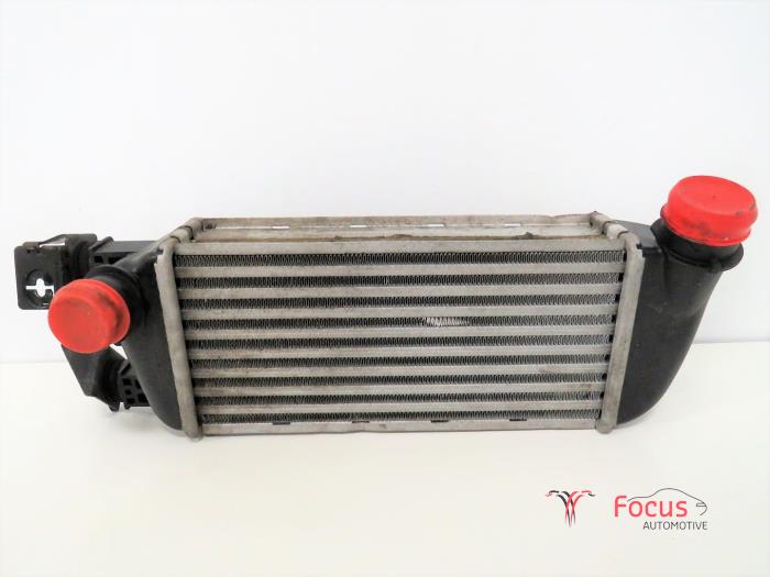 Usagé Intercooler Ford Ka II 1.3 TDCi 16V Prix € 40,00 Règlement à la marge proposé par Focus Automotive