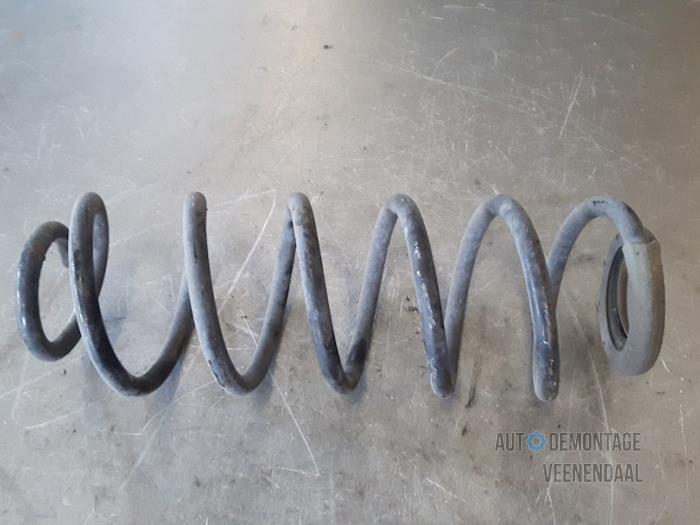 Citroen C4 Rear torsion springs stock | ProxyParts.com