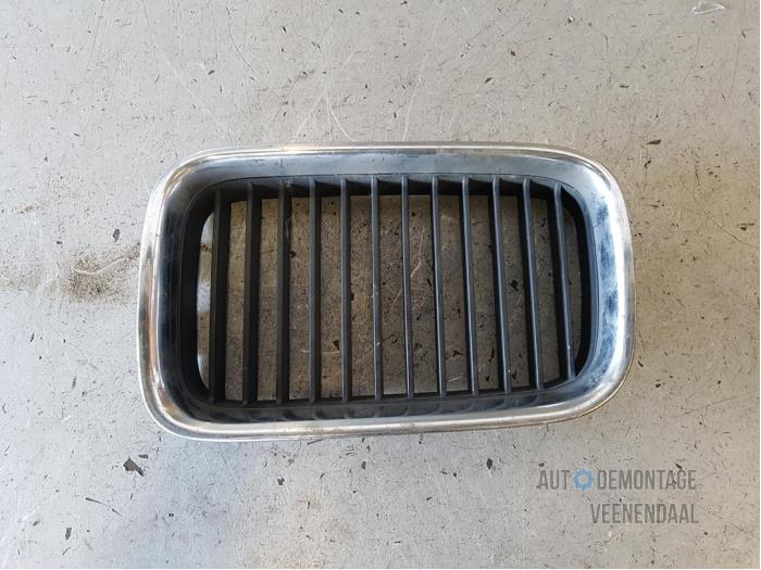 Begagnade Grill BMW 3 serie (E36/2) 316i Pris € 10,00 Marginaltabell erbjuds av Autodeleninkleur
