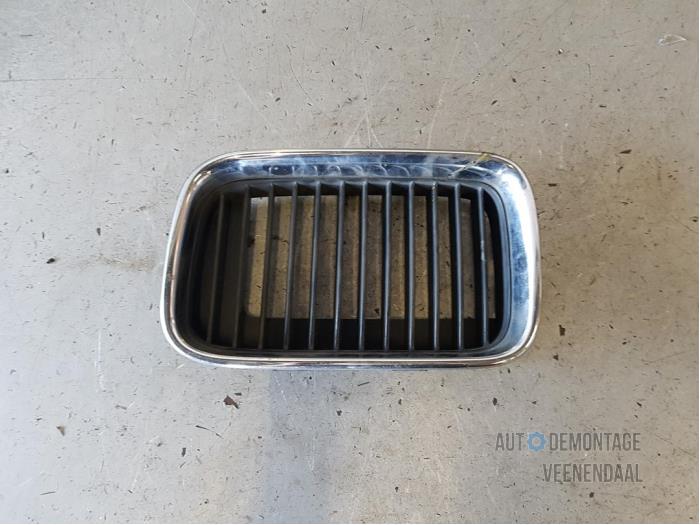 Begagnade Grill BMW 3 serie (E36/4) Pris € 10,00 Marginaltabell erbjuds av Autodeleninkleur