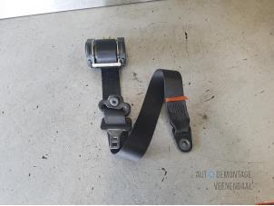 Used Front seatbelt, right Ford Focus 1 1.8 TDCi 100 Price € 9,00 Margin scheme offered by Autodemontage Veenendaal BV